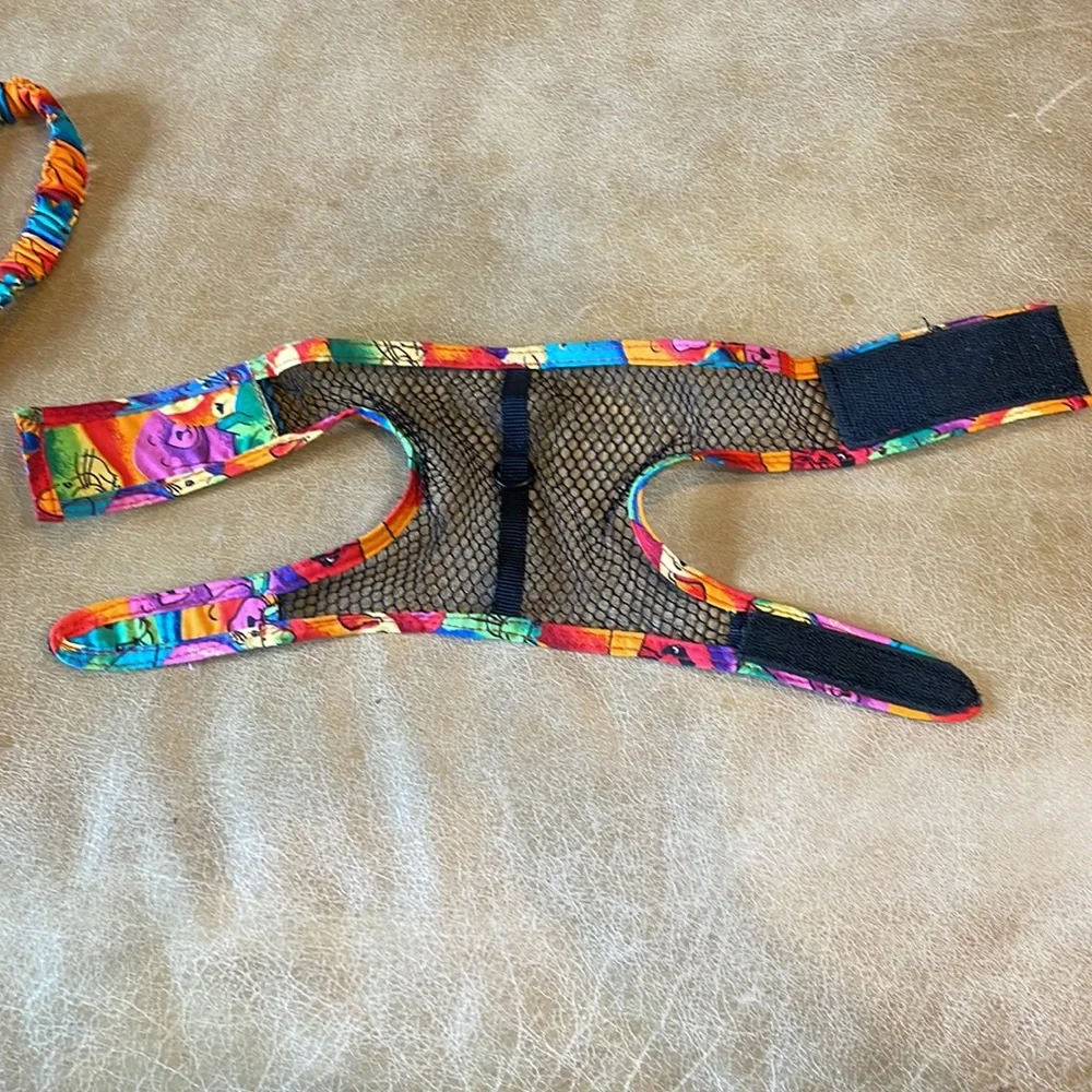 NWOT Homemade pet harness and leash